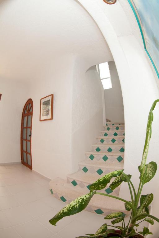 أكومال Villas Flamingo الغرفة الصورة